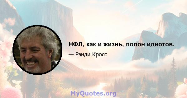 НФЛ, как и жизнь, полон идиотов.