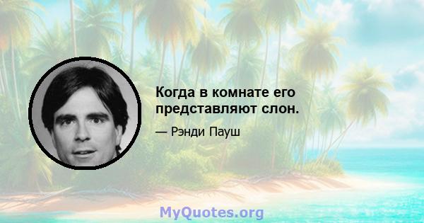 Когда в комнате его представляют слон.