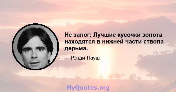 Не залог; Лучшие кусочки золота находятся в нижней части ствола дерьма.