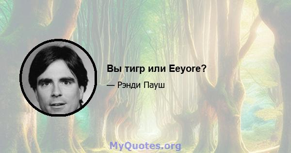 Вы тигр или Eeyore?