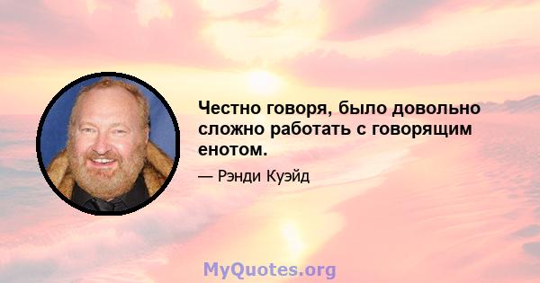 Честно говоря, было довольно сложно работать с говорящим енотом.