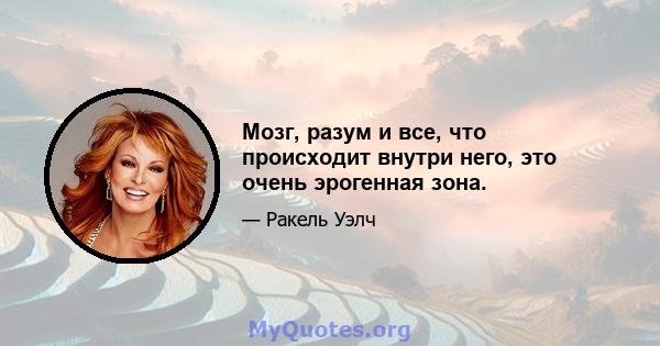 Мозг, разум и все, что происходит внутри него, это очень эрогенная зона.