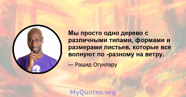 Мы просто одно дерево с различными типами, формами и размерами листьев, которые все волнуют по -разному на ветру.