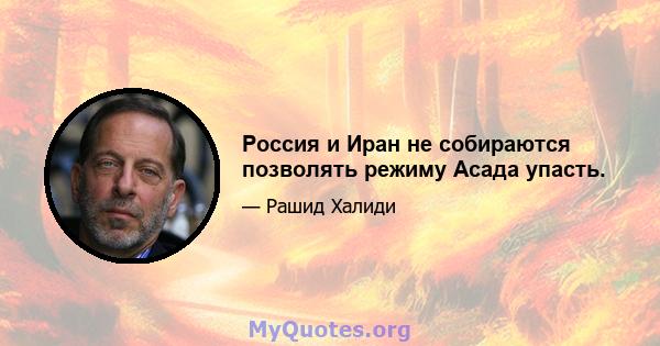 Россия и Иран не собираются позволять режиму Асада упасть.