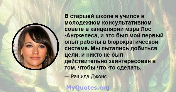 В старшей школе я учился в молодежном консультативном совете в канцелярии мэра Лос -Анджелеса, и это был мой первый опыт работы в бюрократической системе. Мы пытались добиться цели, и никто не был действительно