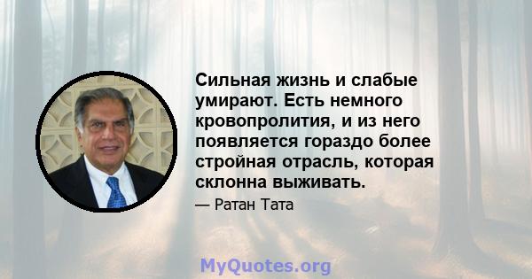 Сильная жизнь и слабые умирают. Есть немного кровопролития, и из него появляется гораздо более стройная отрасль, которая склонна выживать.