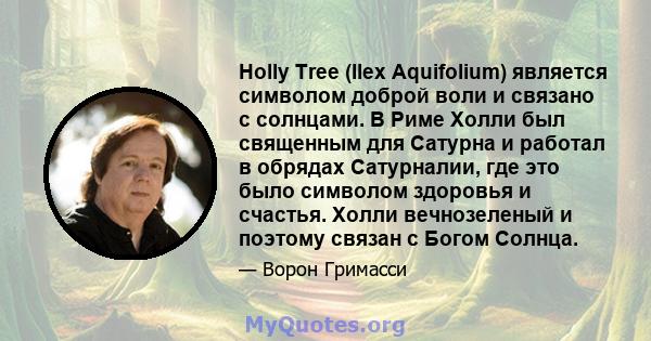 Holly Tree (Ilex Aquifolium) является символом доброй воли и связано с солнцами. В Риме Холли был священным для Сатурна и работал в обрядах Сатурналии, где это было символом здоровья и счастья. Холли вечнозеленый и