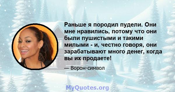 Раньше я породил пудели. Они мне нравились, потому что они были пушистыми и такими милыми - и, честно говоря, они зарабатывают много денег, когда вы их продаете!