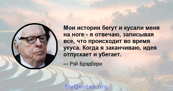 Мои истории бегут и кусали меня на ноге - я отвечаю, записывая все, что происходит во время укуса. Когда я заканчиваю, идея отпускает и убегает.