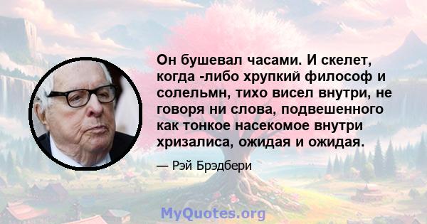 Он бушевал часами. И скелет, когда -либо хрупкий философ и солельмн, тихо висел внутри, не говоря ни слова, подвешенного как тонкое насекомое внутри хризалиса, ожидая и ожидая.