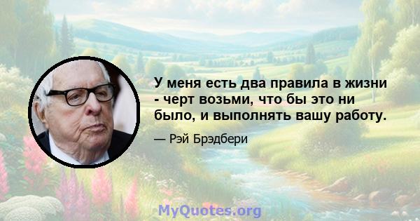 У меня есть два правила в жизни - черт возьми, что бы это ни было, и выполнять вашу работу.