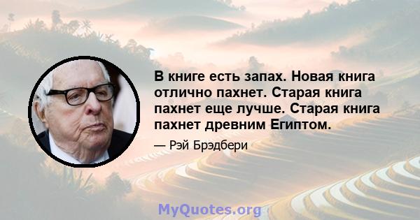 В книге есть запах. Новая книга отлично пахнет. Старая книга пахнет еще лучше. Старая книга пахнет древним Египтом.