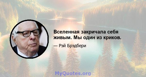 Вселенная закричала себя живым. Мы один из криков.