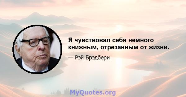 Я чувствовал себя немного книжным, отрезанным от жизни.