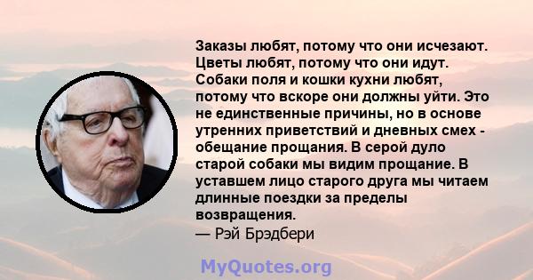 Заказы любят, потому что они исчезают. Цветы любят, потому что они идут. Собаки поля и кошки кухни любят, потому что вскоре они должны уйти. Это не единственные причины, но в основе утренних приветствий и дневных смех - 