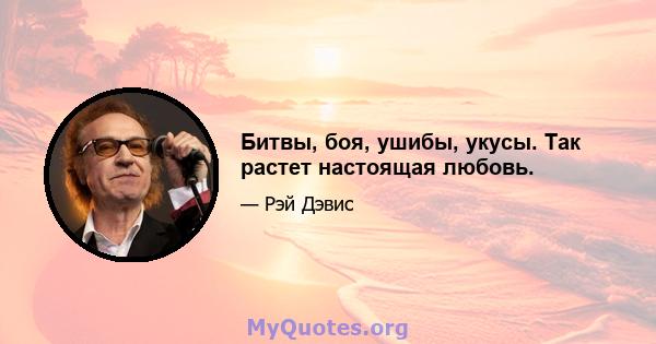 Битвы, боя, ушибы, укусы. Так растет настоящая любовь.