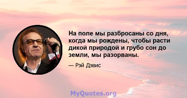 На поле мы разбросаны со дня, когда мы рождены, чтобы расти дикой природой и грубо сон до земли, мы разорваны.