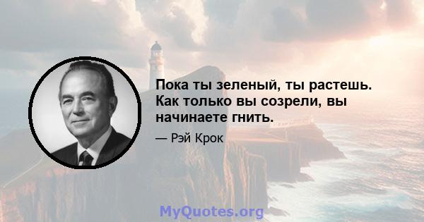 Пока ты зеленый, ты растешь. Как только вы созрели, вы начинаете гнить.