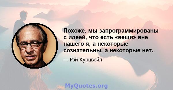 Похоже, мы запрограммированы с идеей, что есть «вещи» вне нашего я, а некоторые сознательны, а некоторые нет.