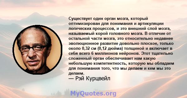 Существует один орган мозга, который оптимизирован для понимания и артикуляции логических процессов, и это внешний слой мозга, называемый корой головного мозга. В отличие от остальной части мозга, это относительно