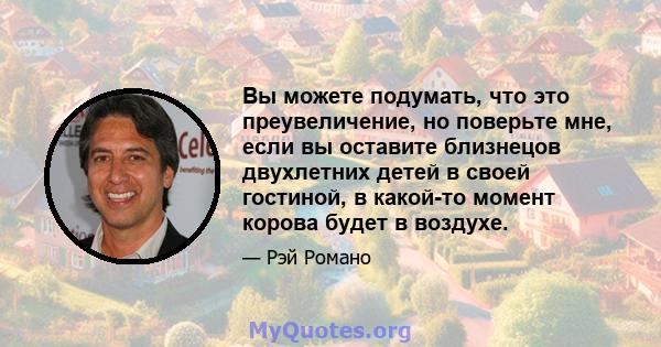 Вы можете подумать, что это преувеличение, но поверьте мне, если вы оставите близнецов двухлетних детей в своей гостиной, в какой-то момент корова будет в воздухе.