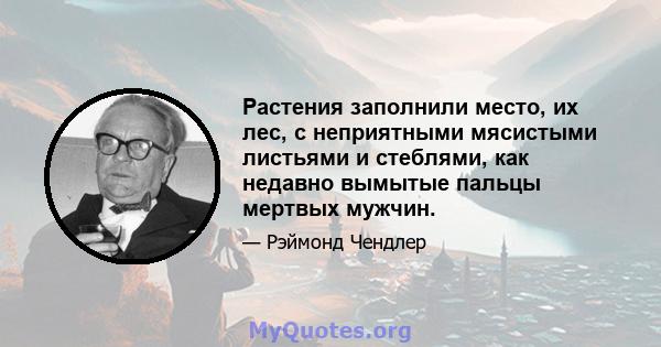 Растения заполнили место, их лес, с неприятными мясистыми листьями и стеблями, как недавно вымытые пальцы мертвых мужчин.