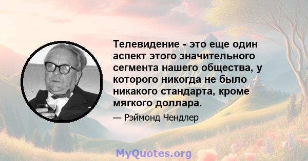 Телевидение - это еще один аспект этого значительного сегмента нашего общества, у которого никогда не было никакого стандарта, кроме мягкого доллара.