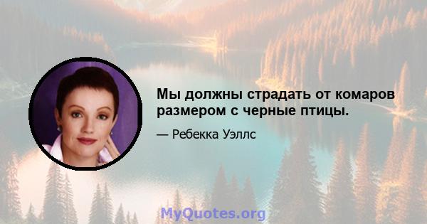 Мы должны страдать от комаров размером с черные птицы.