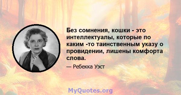 Без сомнения, кошки - это интеллектуалы, которые по каким -то таинственным указу о провидении, лишены комфорта слова.