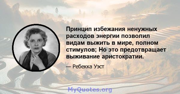 Принцип избежания ненужных расходов энергии позволил видам выжить в мире, полном стимулов; Но это предотвращает выживание аристократии.