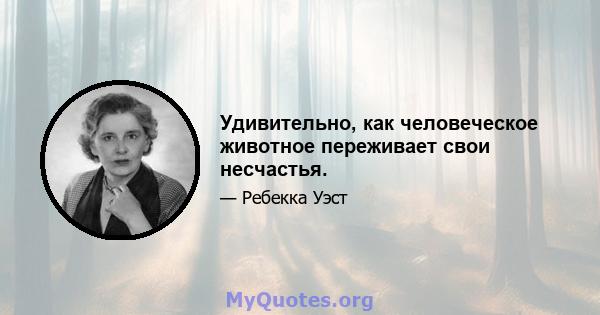 Удивительно, как человеческое животное переживает свои несчастья.