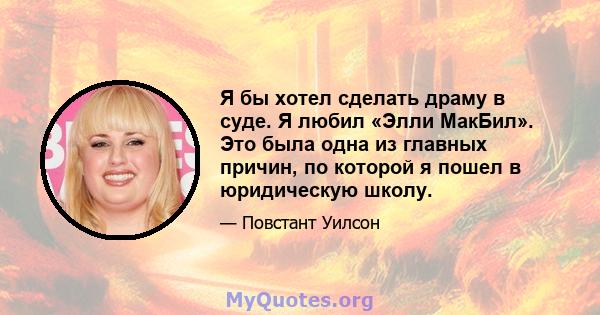 Я бы хотел сделать драму в суде. Я любил «Элли МакБил». Это была одна из главных причин, по которой я пошел в юридическую школу.