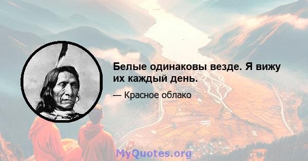 Белые одинаковы везде. Я вижу их каждый день.