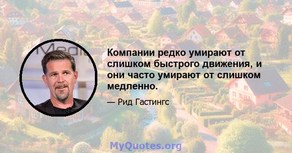 Компании редко умирают от слишком быстрого движения, и они часто умирают от слишком медленно.