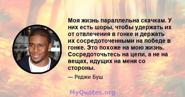 Моя жизнь параллельна скачкам. У них есть шоры, чтобы удержать их от отвлечения в гонке и держать их сосредоточенными на победе в гонке. Это похоже на мою жизнь. Сосредоточьтесь на цели, а не на вещах, идущих на меня со 