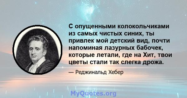 С опущенными колокольчиками из самых чистых синих, ты привлек мой детский вид, почти напоминая лазурных бабочек, которые летали, где на Хит, твои цветы стали так слегка дрожа.