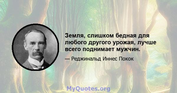 Земля, слишком бедная для любого другого урожая, лучше всего поднимает мужчин.