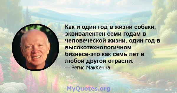 Как и один год в жизни собаки, эквивалентен семи годам в человеческой жизни, один год в высокотехнологичном бизнесе-это как семь лет в любой другой отрасли.