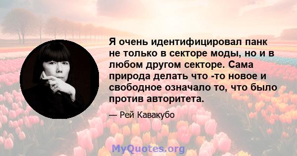 Я очень идентифицировал панк не только в секторе моды, но и в любом другом секторе. Сама природа делать что -то новое и свободное означало то, что было против авторитета.