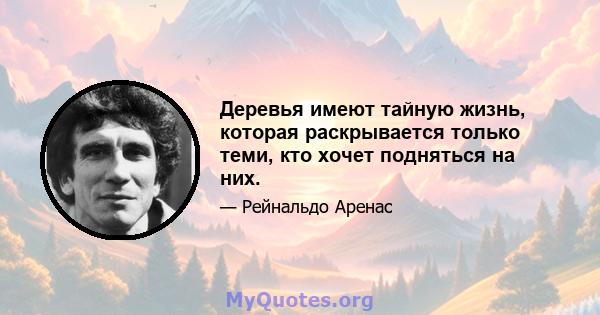 Деревья имеют тайную жизнь, которая раскрывается только теми, кто хочет подняться на них.