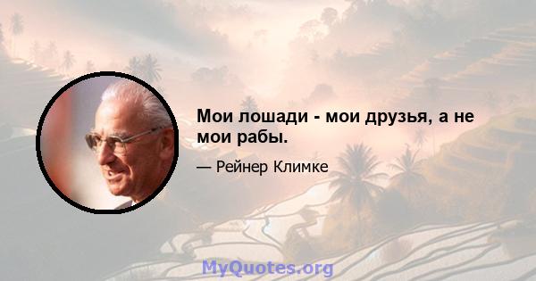 Мои лошади - мои друзья, а не мои рабы.