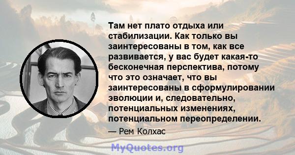 Там нет плато отдыха или стабилизации. Как только вы заинтересованы в том, как все развивается, у вас будет какая-то бесконечная перспектива, потому что это означает, что вы заинтересованы в сформулировании эволюции и,