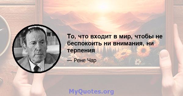 То, что входит в мир, чтобы не беспокоить ни внимания, ни терпения