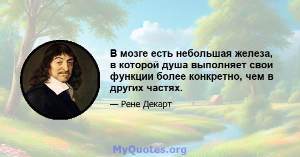 В мозге есть небольшая железа, в которой душа выполняет свои функции более конкретно, чем в других частях.