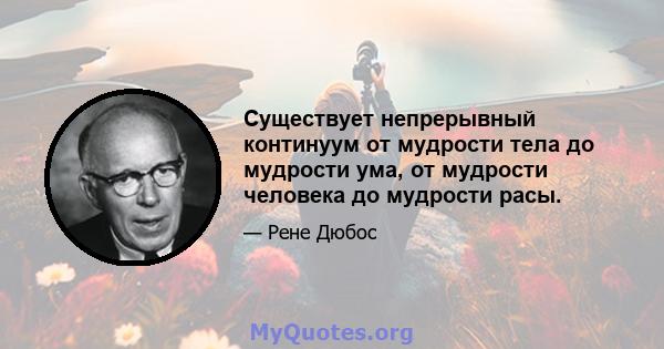 Существует непрерывный континуум от мудрости тела до мудрости ума, от мудрости человека до мудрости расы.