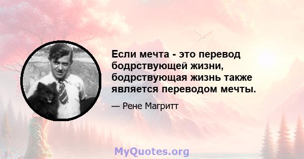 Если мечта - это перевод бодрствующей жизни, бодрствующая жизнь также является переводом мечты.