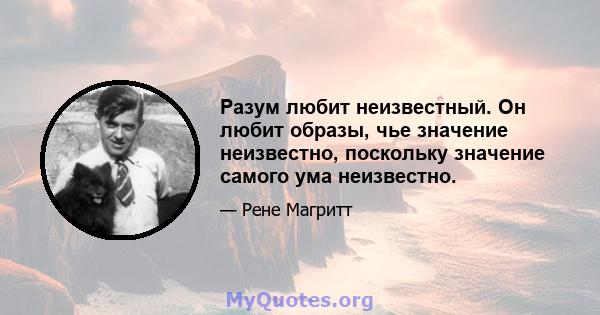 Разум любит неизвестный. Он любит образы, чье значение неизвестно, поскольку значение самого ума неизвестно.