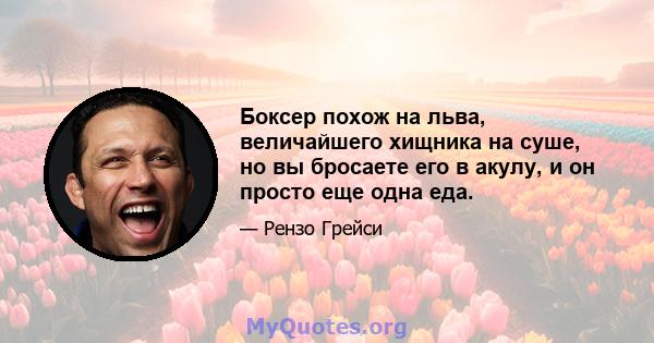 Боксер похож на льва, величайшего хищника на суше, но вы бросаете его в акулу, и он просто еще одна еда.