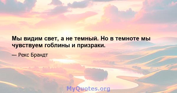 Мы видим свет, а не темный. Но в темноте мы чувствуем гоблины и призраки.