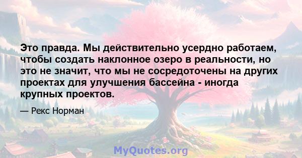 Это правда. Мы действительно усердно работаем, чтобы создать наклонное озеро в реальности, но это не значит, что мы не сосредоточены на других проектах для улучшения бассейна - иногда крупных проектов.